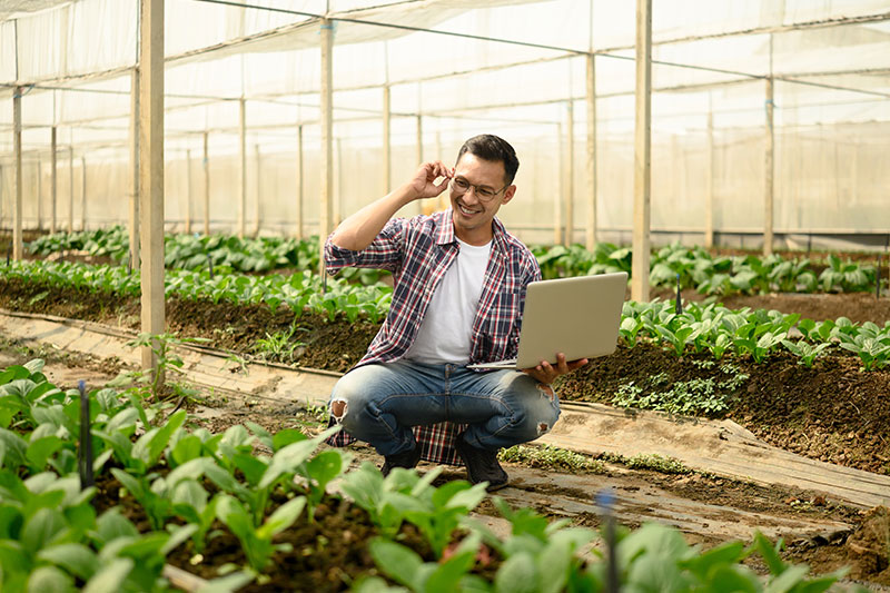 Smart greenhouse and climate Control